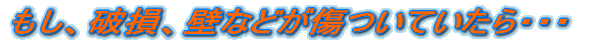 �����A�j���A�ǂȂǂ������Ă�����E�E�E